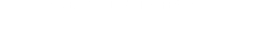 BEVERLY HILLS FILM FESTIVAL